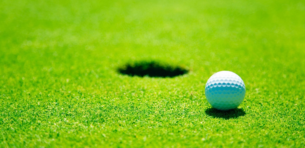 High Density Artificial Golf Sports Grass Turf Customized